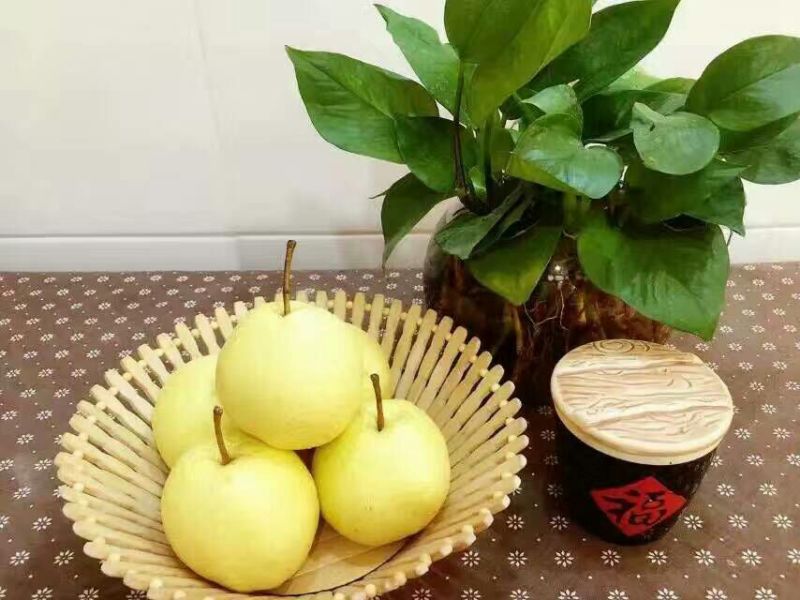 酥梨350~400g纸袋