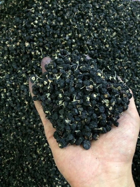 黑枸杞批发_马成龙供应_一亩田农业网