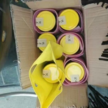 柠檬膏