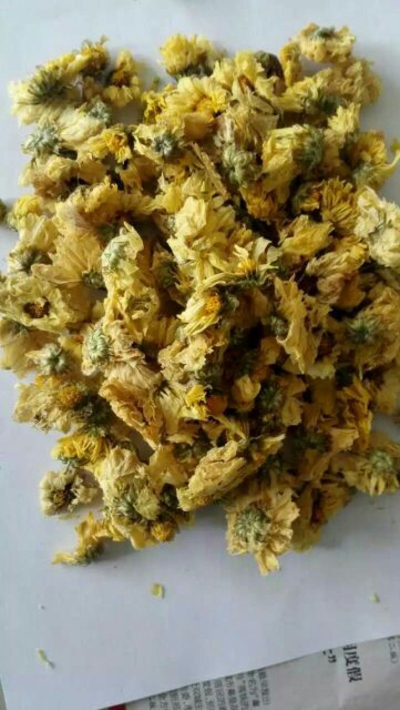 杭州白菊散装