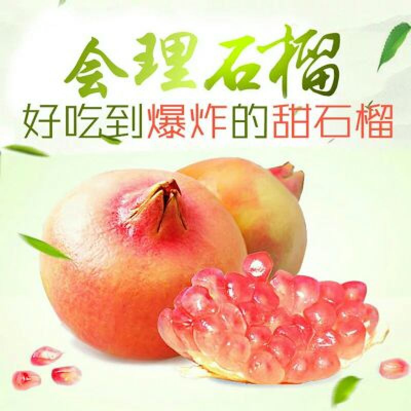 会理软籽石榴6两~8两产地直发确保一手货源