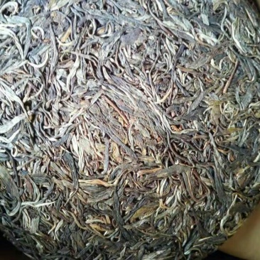 百年大树茶特级