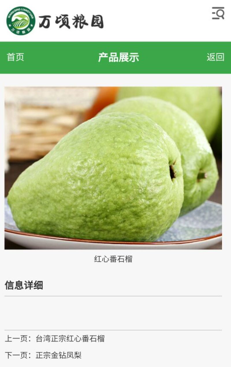 番石榴苗30cm以下