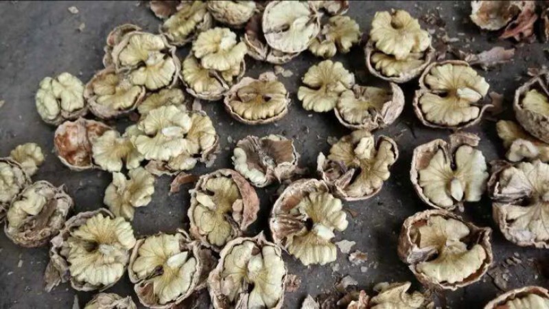 薄皮核桃30mm以上去皮