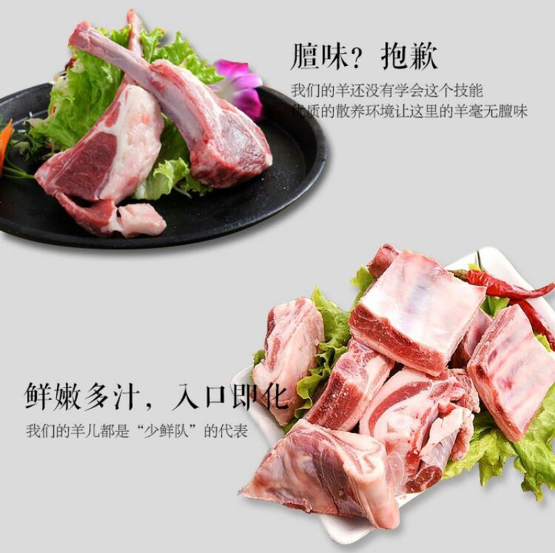 盐池滩羊羊排羊腿散养羊蝎子羊脖子盐池滩羊绵羊