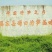 绿竹笋