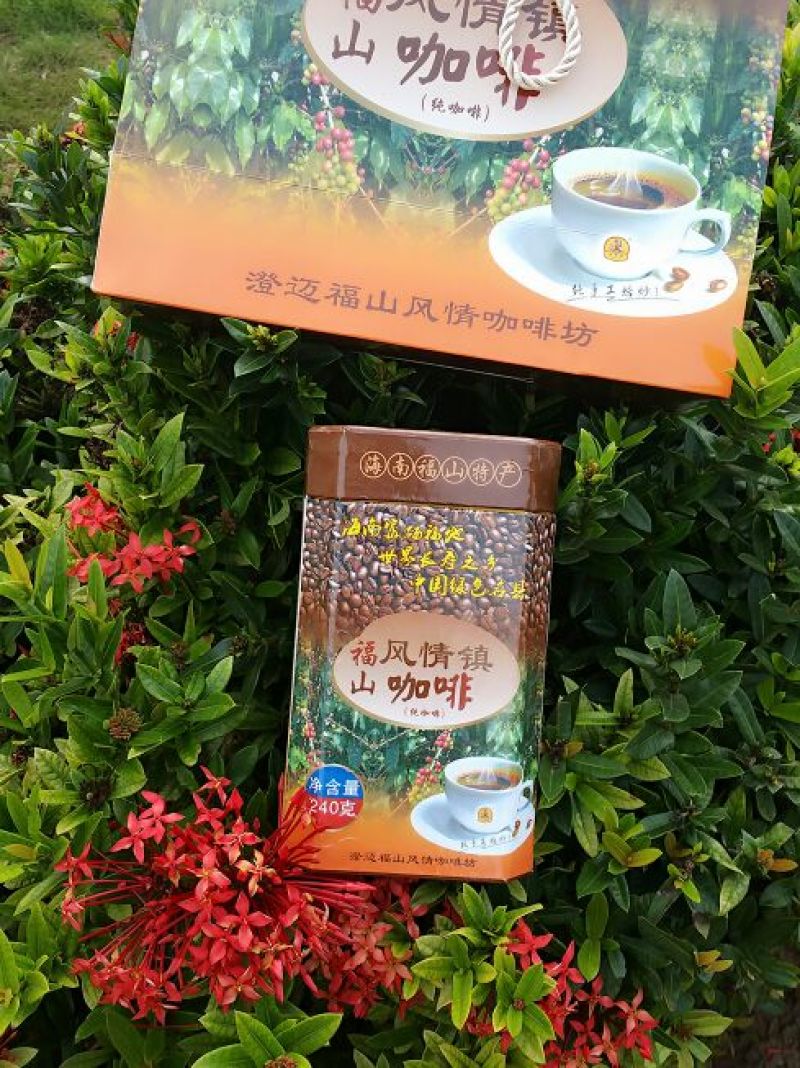 阿拉比卡豆