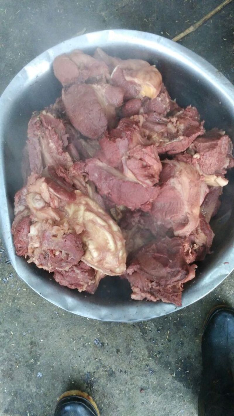 驴肉鲜货