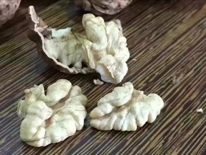 大泡核桃