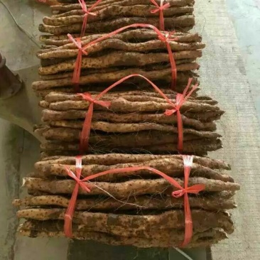 铁棍山药1~2厘米30~35厘米