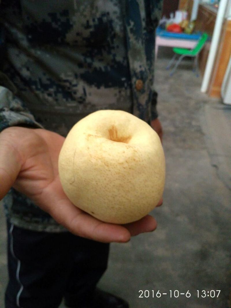 酥梨纸袋