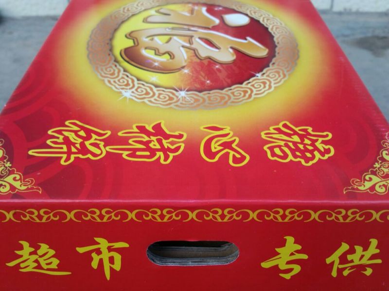 柿饼1~2两