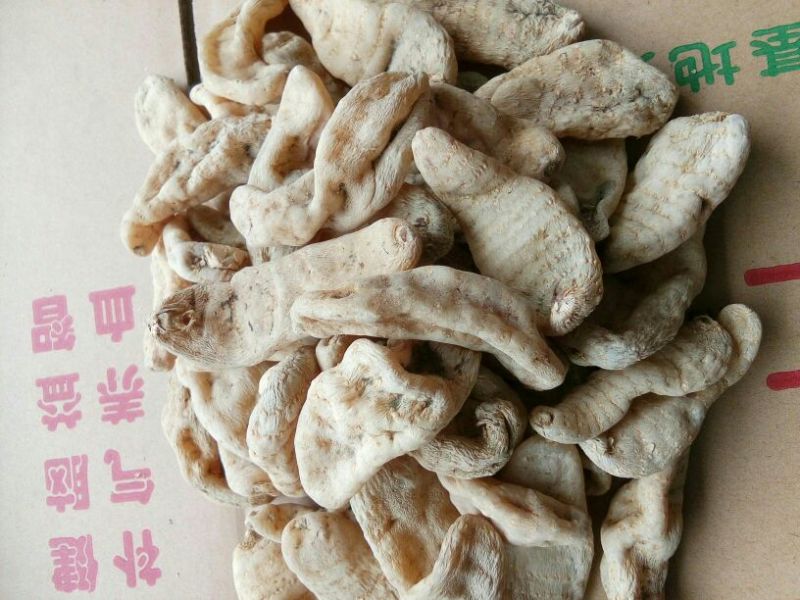 天麻一级