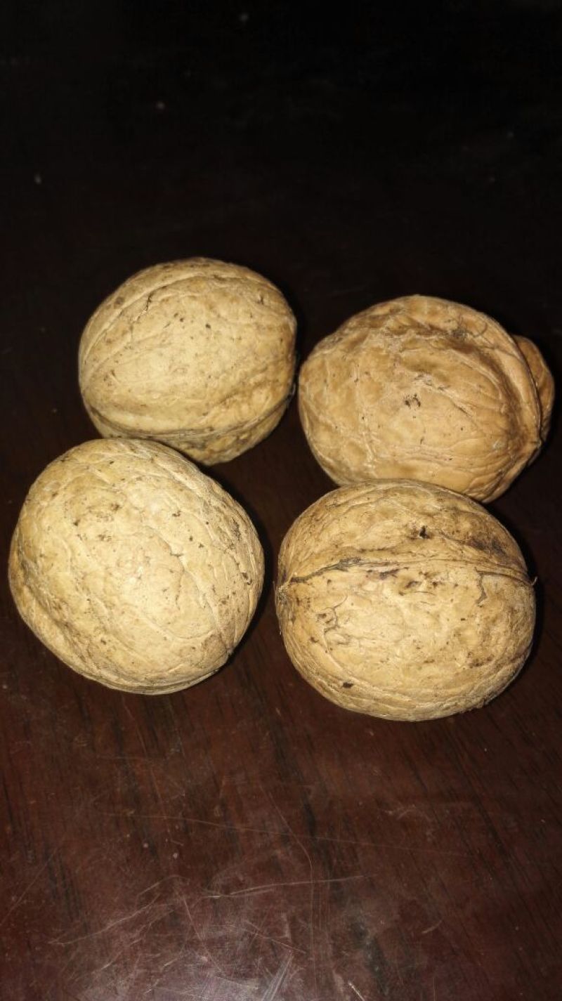 薄皮核桃去皮