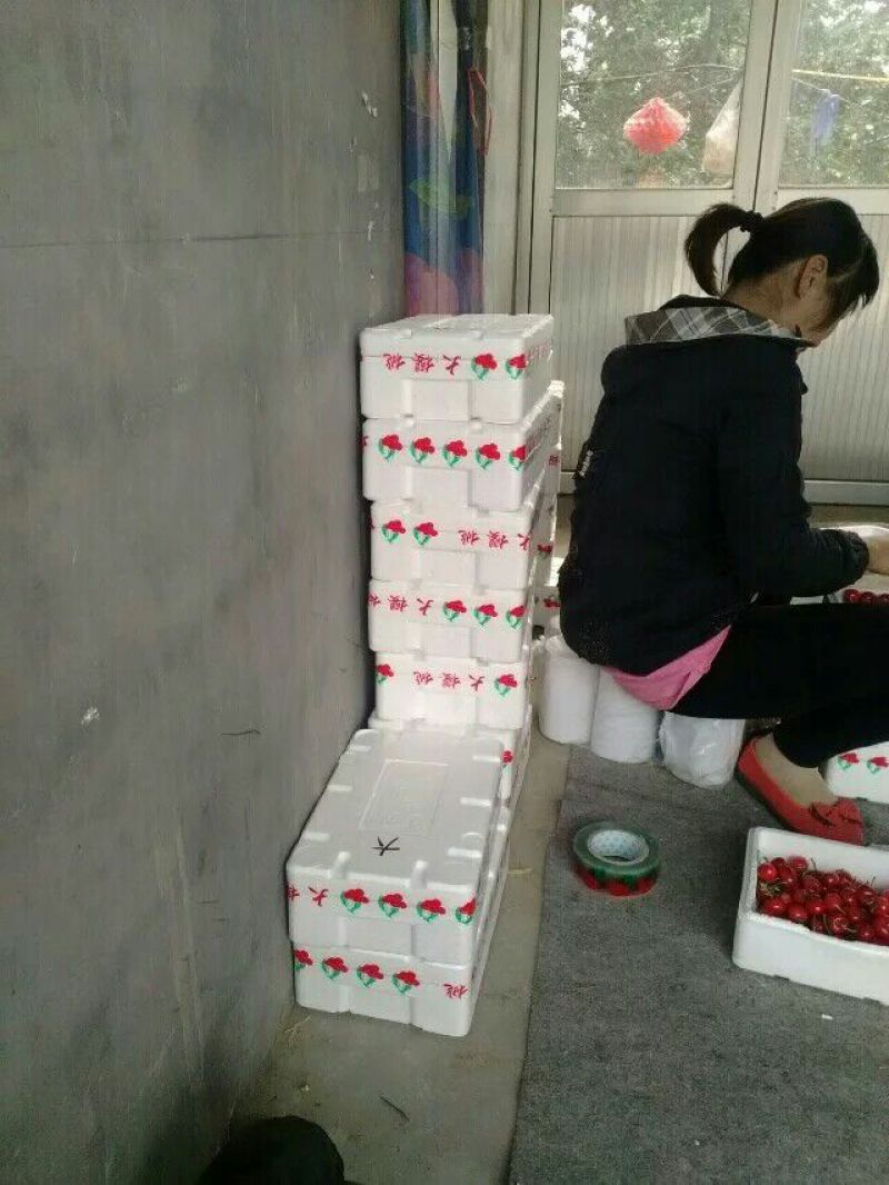 樱桃