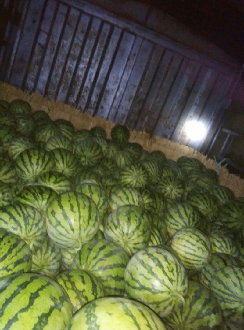 西瓜6斤打底8成熟