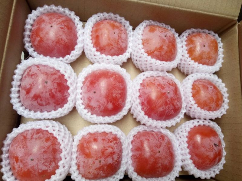 临潼特产，火晶柿子1~2两以内。