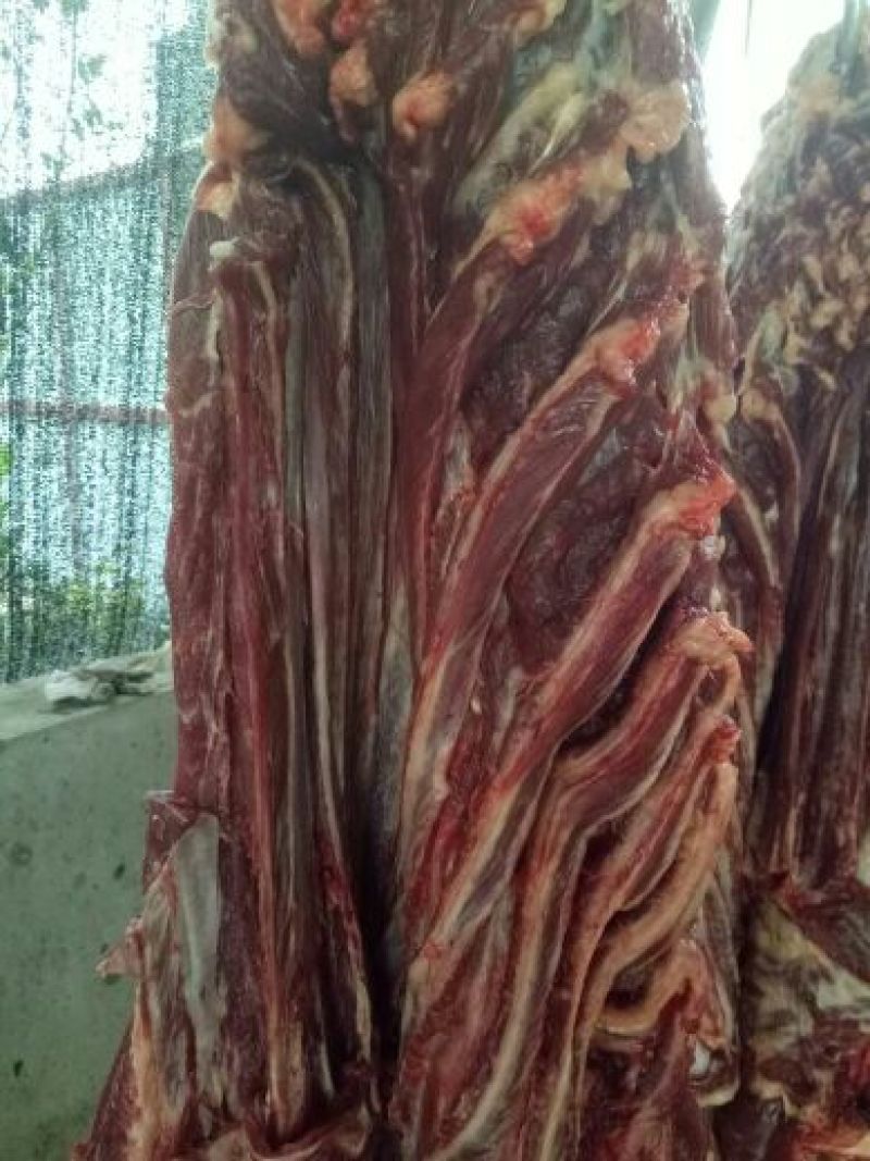 驴肉鲜货