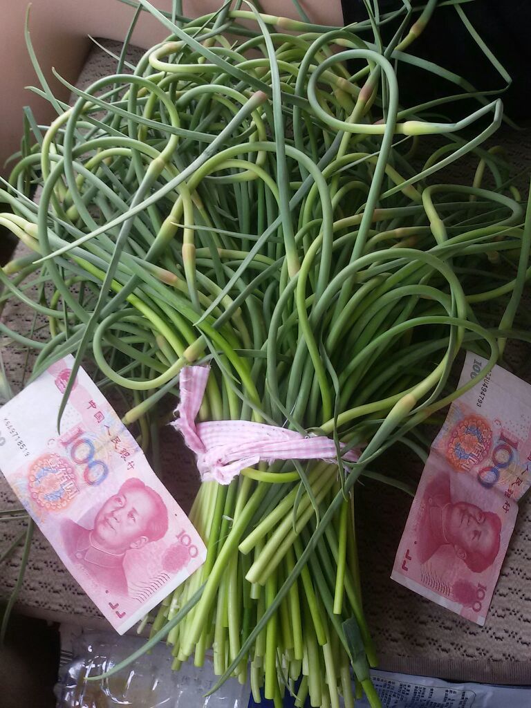 蒜薹河北石家庄市晋州市_批发_供应-一亩田农