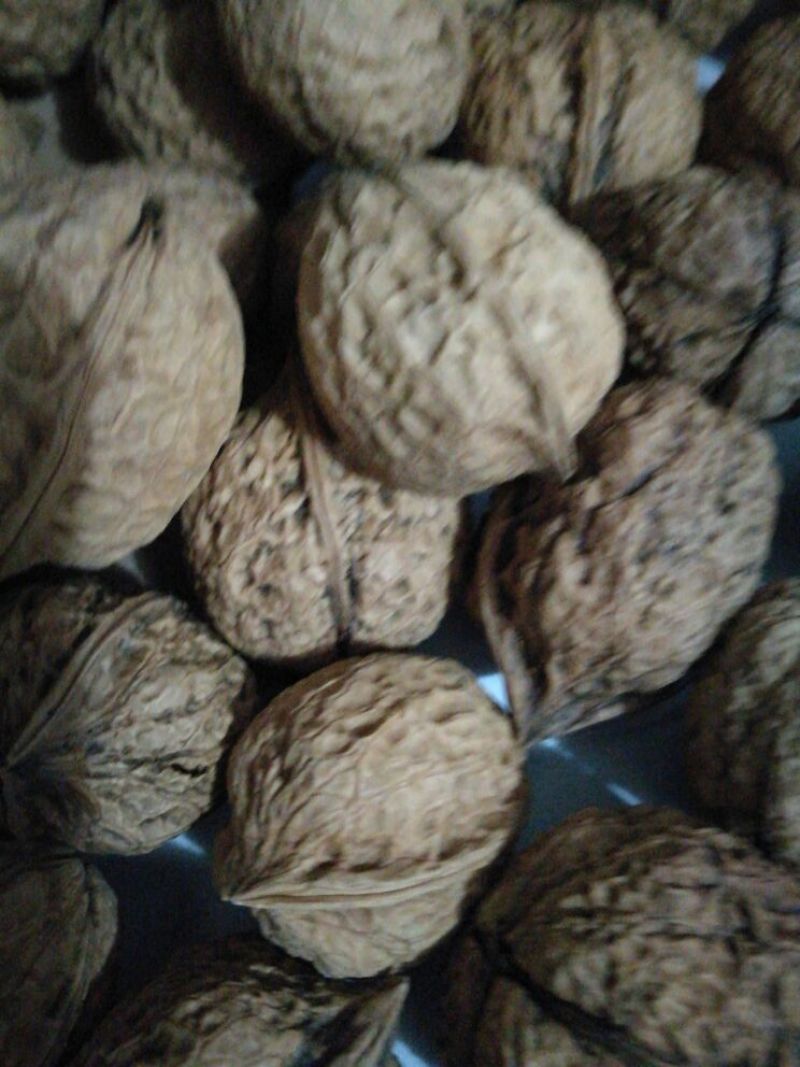 薄皮核桃去皮干