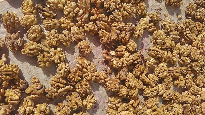 绵核桃30mm以上去皮干