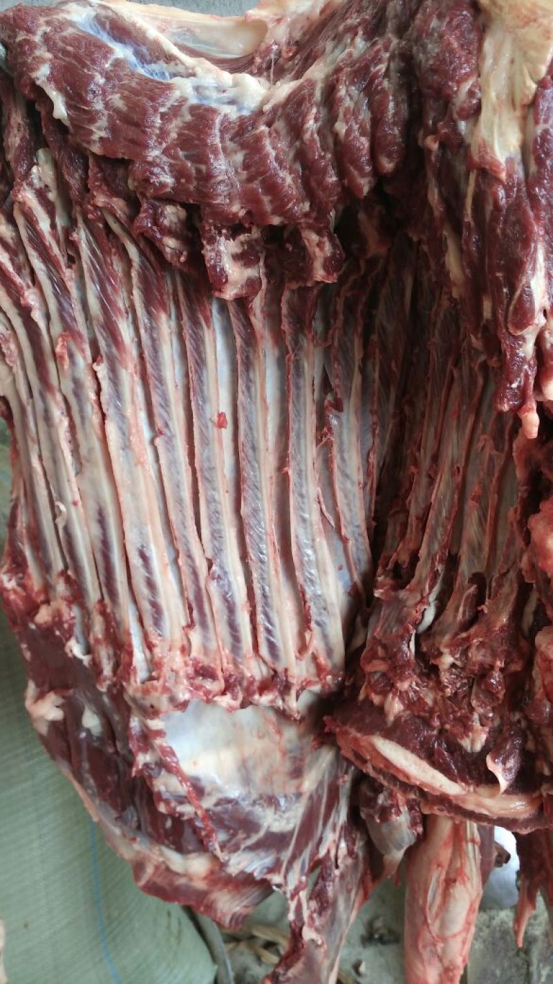 驴肉鲜货