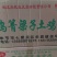 土鸡蛋食用50~60g