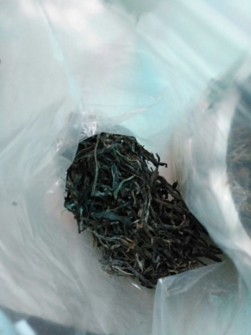 古树普洱茶一级