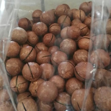 夏威夷果带壳