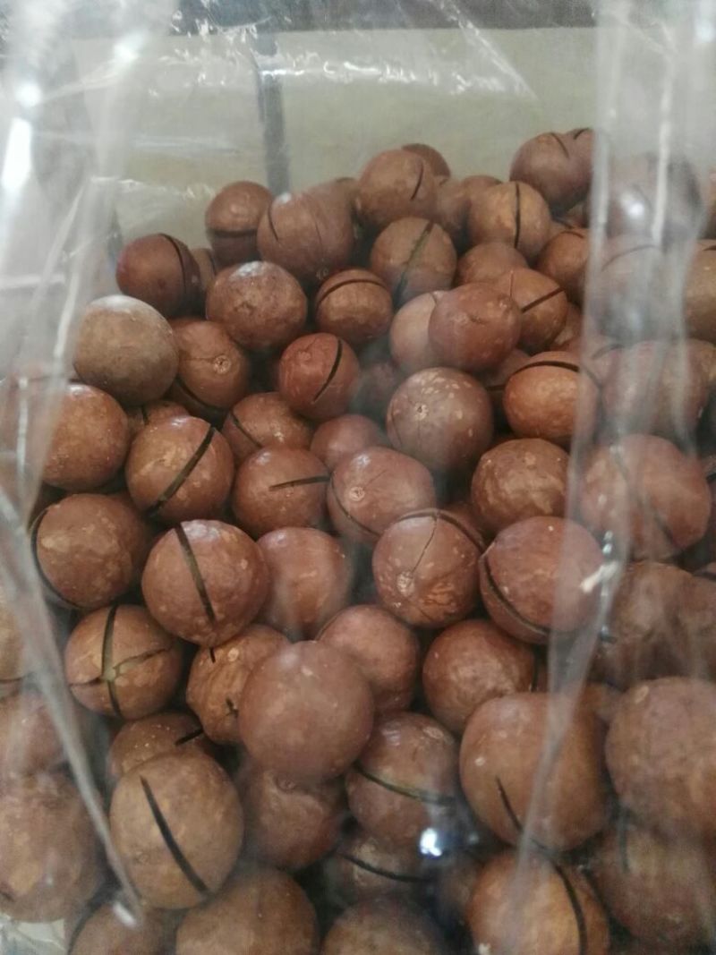 夏威夷果带壳