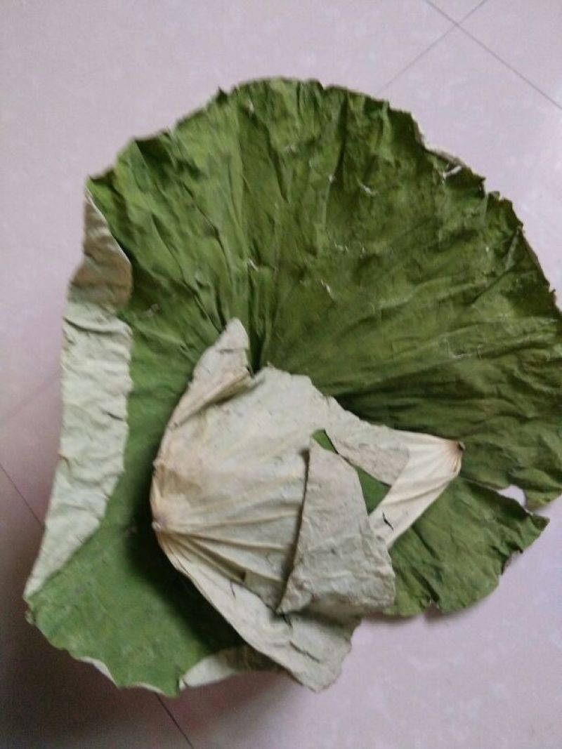 荷叶茶一级