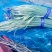 蒜薹30~40厘米