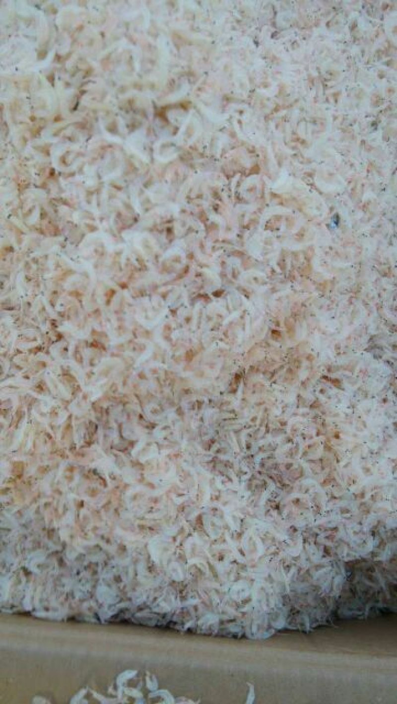 虾皮特级