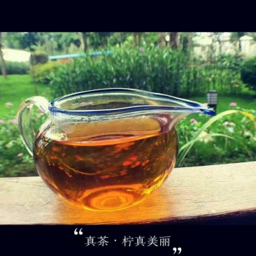 普洱茶