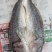 鱼干
