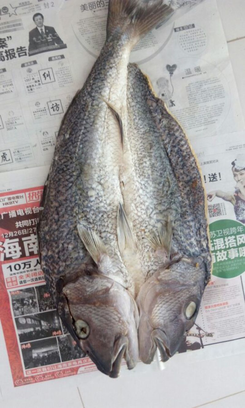 鱼干