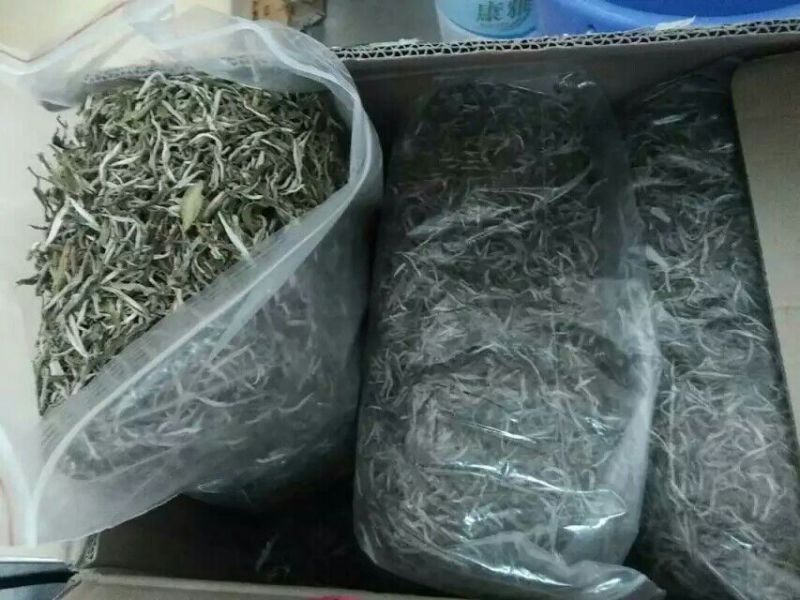 月光白