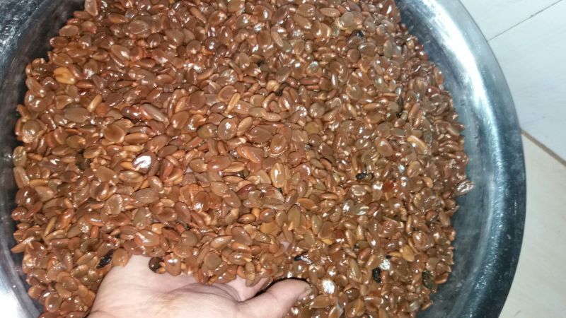 布福娜300~600g