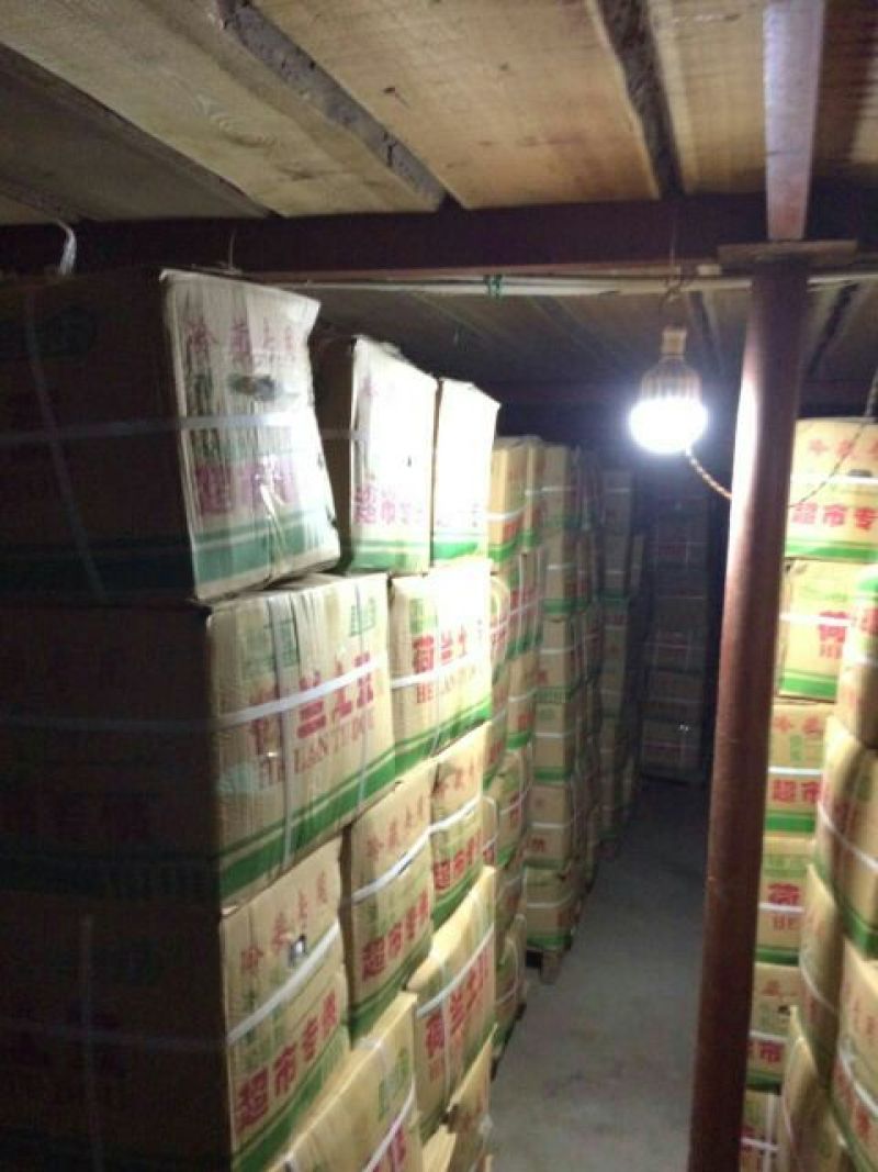 荷兰十五土豆3两通天光腚货