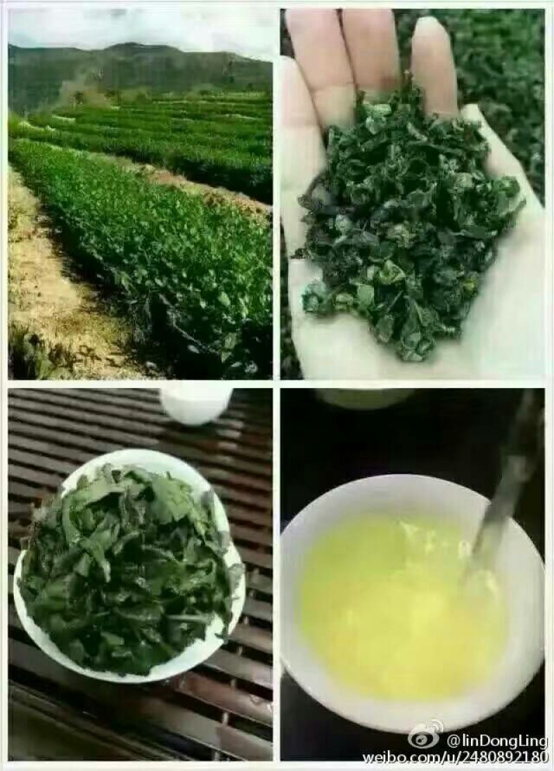 观音茶一级
