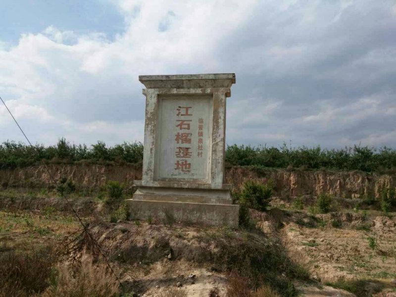 石榴