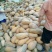 金韩蜜本南瓜4~5斤以上长条形
