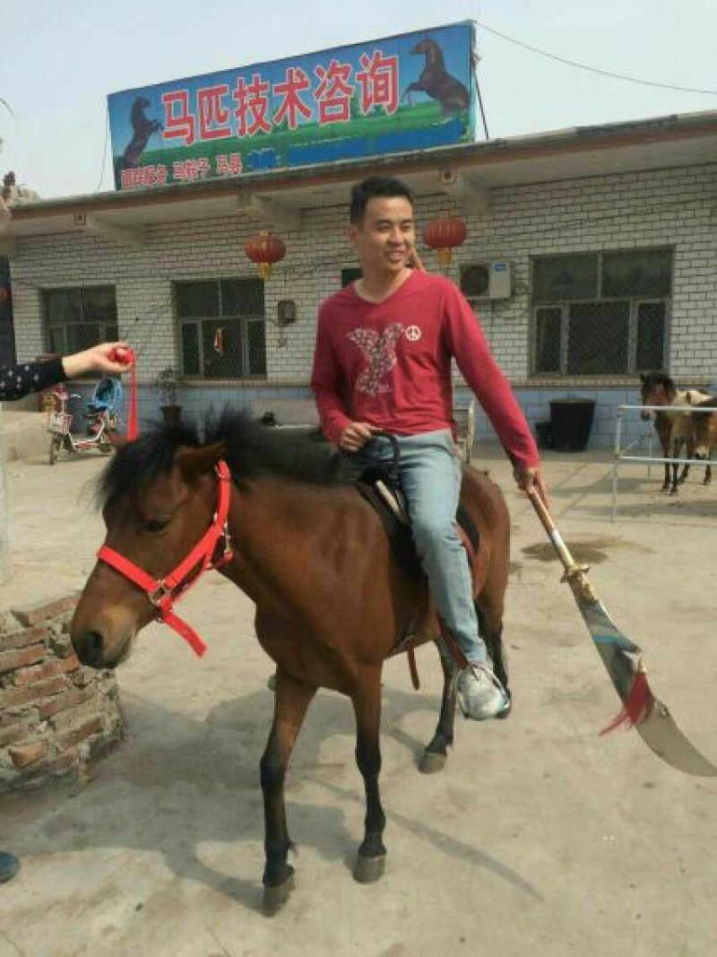 肉马