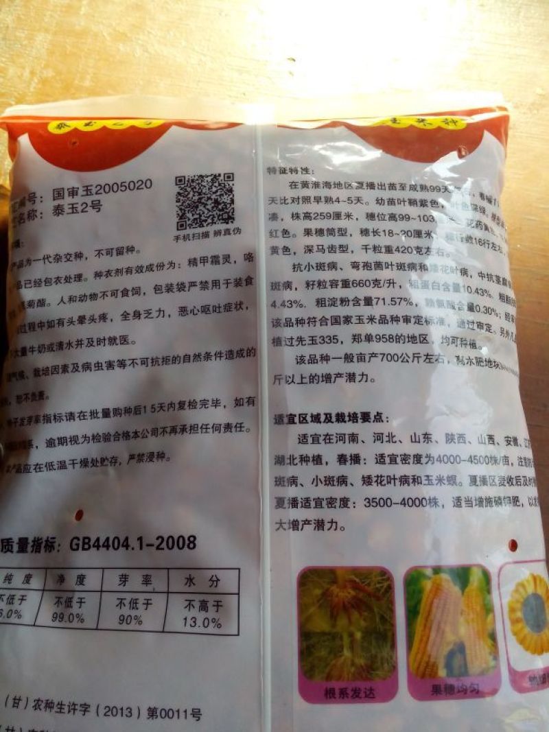 玉米种子
