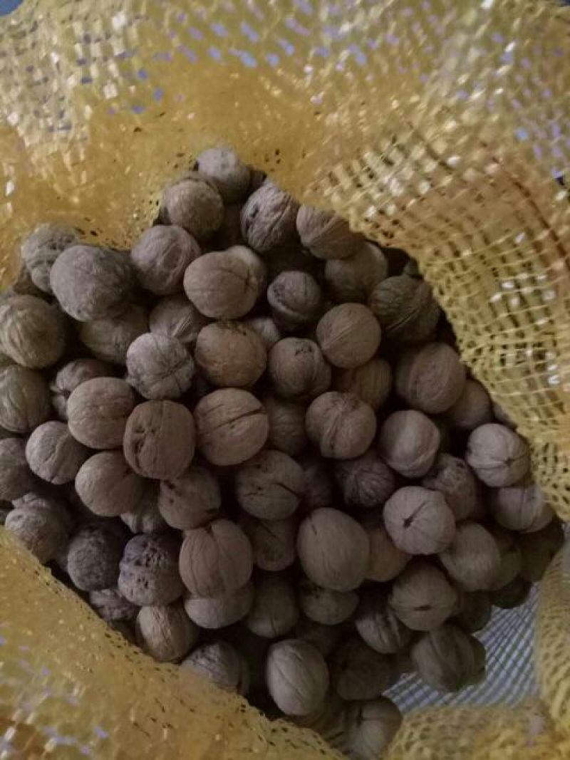 薄皮核桃30mm以上去皮