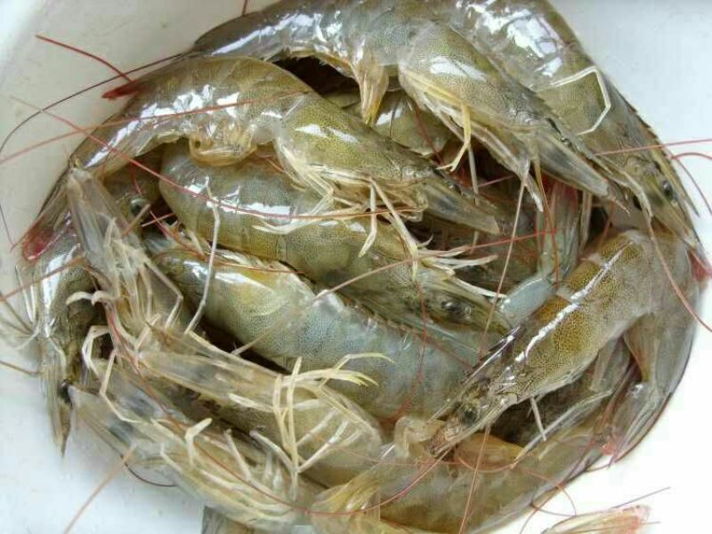 虾干二级