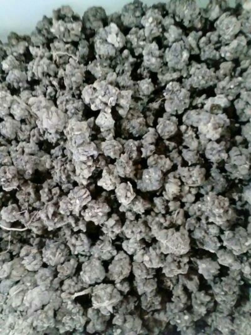 猫爪草，中大选货精选