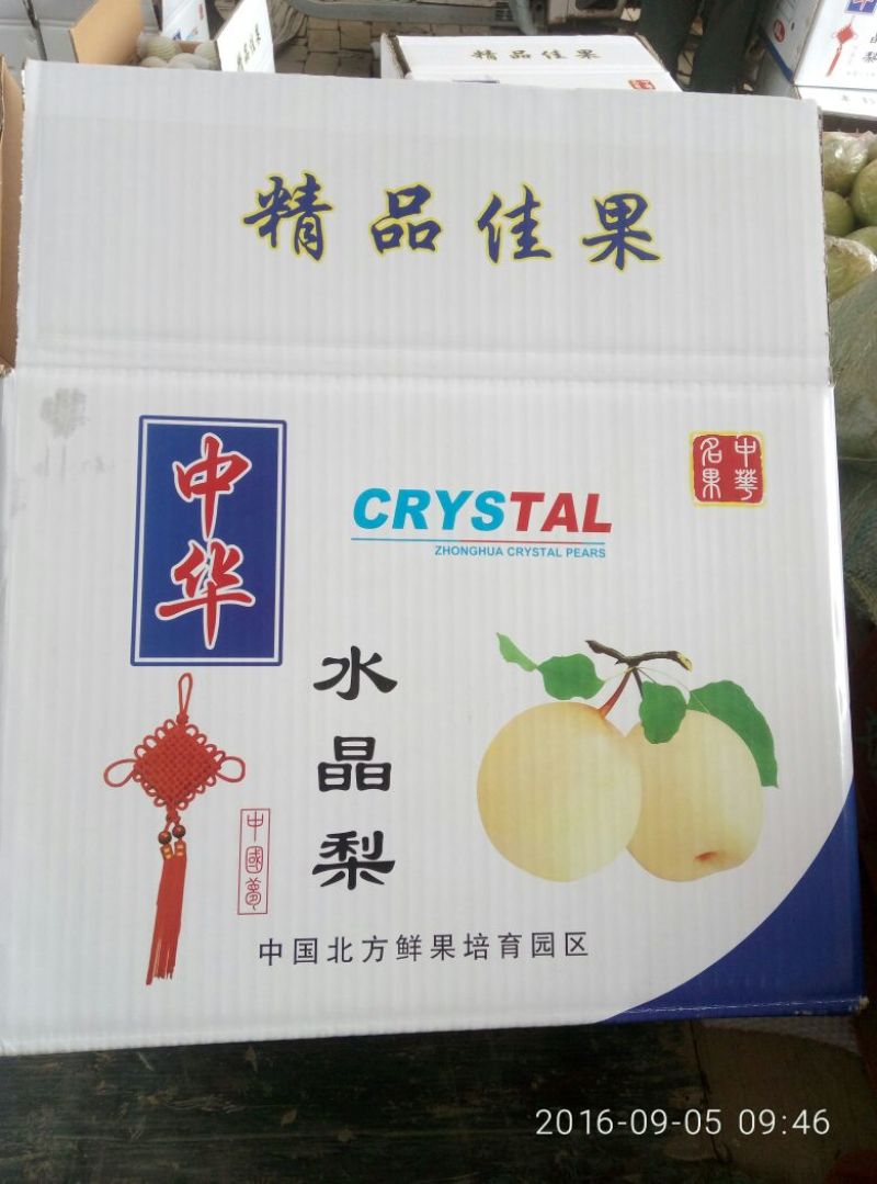 鸭梨550~600g纸加膜