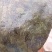 生态甲鱼