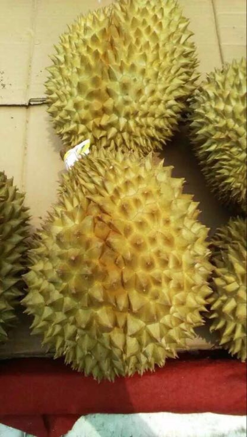 榴莲